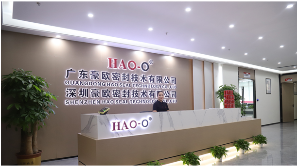 深圳豪歐密封2024年會：回顧與展望